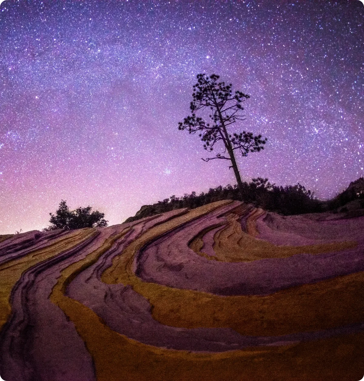 Purple-hued landscape with stars and tree